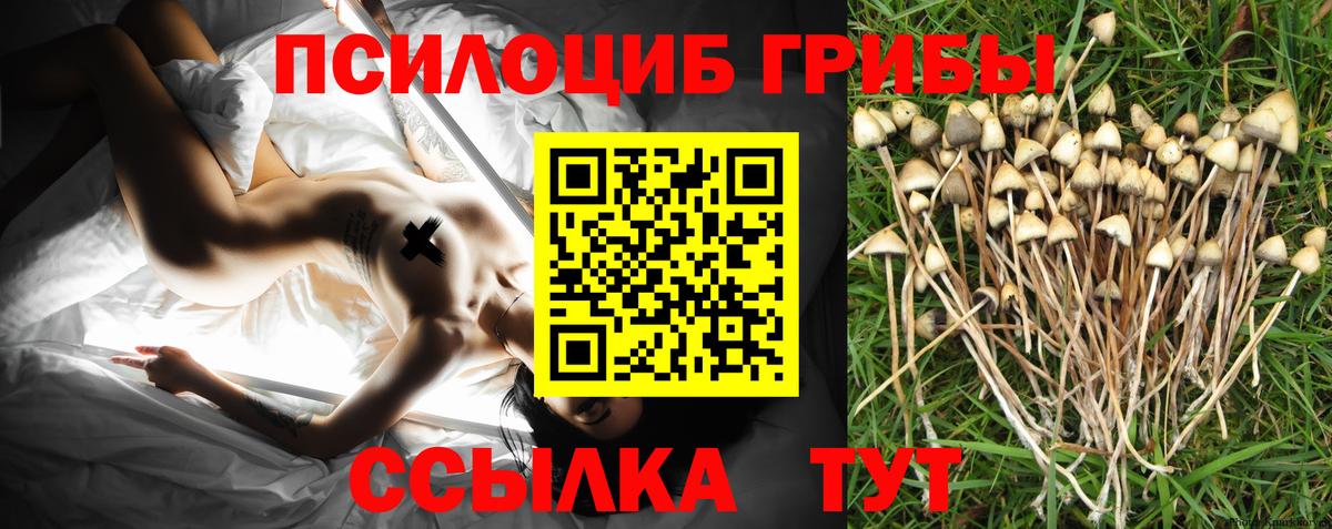 Псилоцибиновые грибы Psilocybine cubensis  закладки  Великие Луки  Вход с VPN 