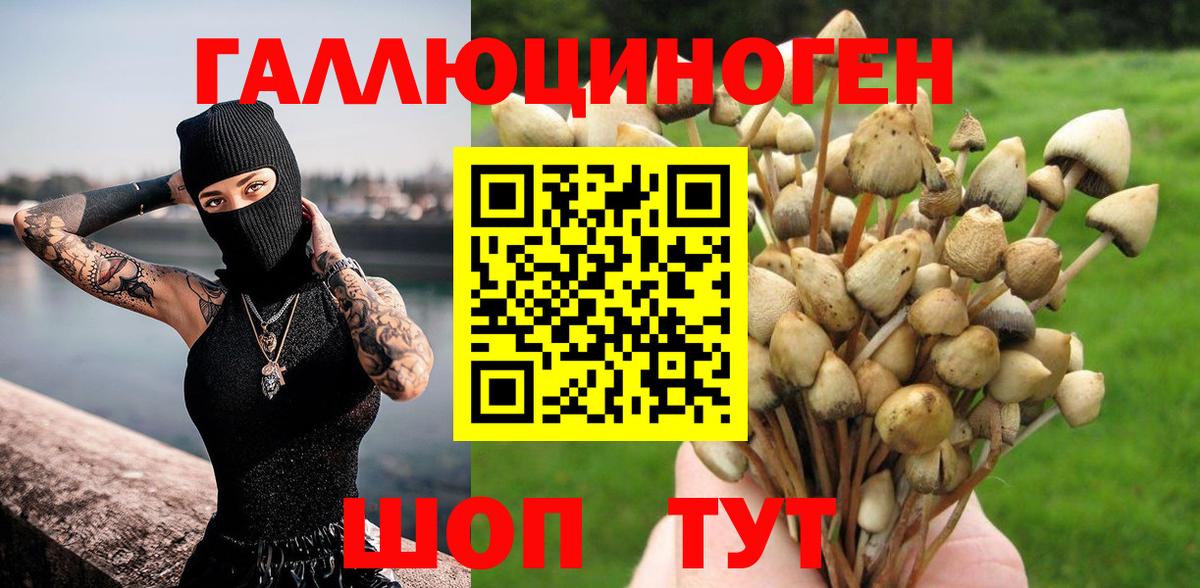 Псилоцибиновые грибы GOLDEN TEACHER Великие Луки